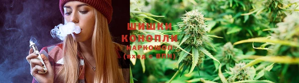 PSILOCYBIN Алексин