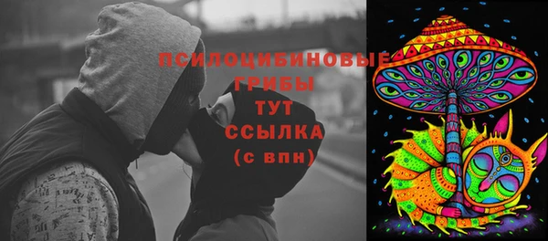 PSILOCYBIN Алексин