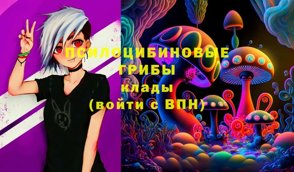 ешки Алзамай