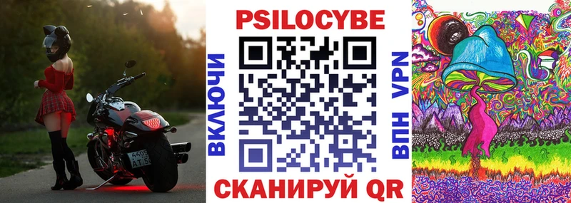 где купить наркотик  Курлово  Псилоцибиновые грибы мухоморы 